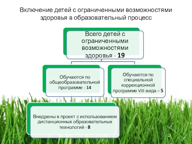 Включение детей с ограниченными возможностями здоровья в образовательный процесс