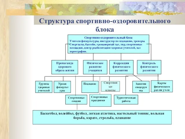 Спортивно-оздоровительный блок Учителя физкультуры, инструктор по плаванию, тренеры. Спортзалы, бассейн, тренажерный зал,