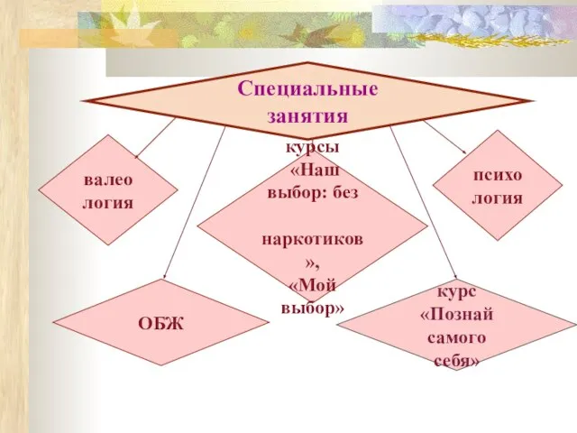 Специальные занятия валеология курсы «Наш выбор: без наркотиков», «Мой выбор» психология ОБЖ курс «Познай самого себя»