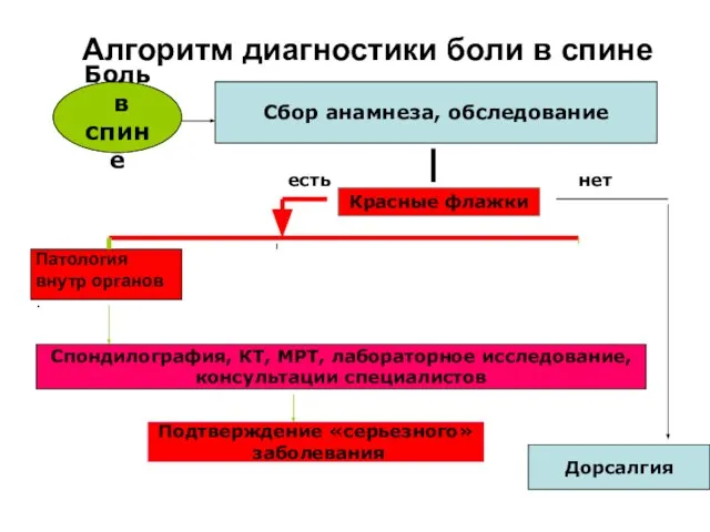 Боль в спине Сбор анамнеза, обследование Красные флажки Дорсалгия нет есть Спондилография,