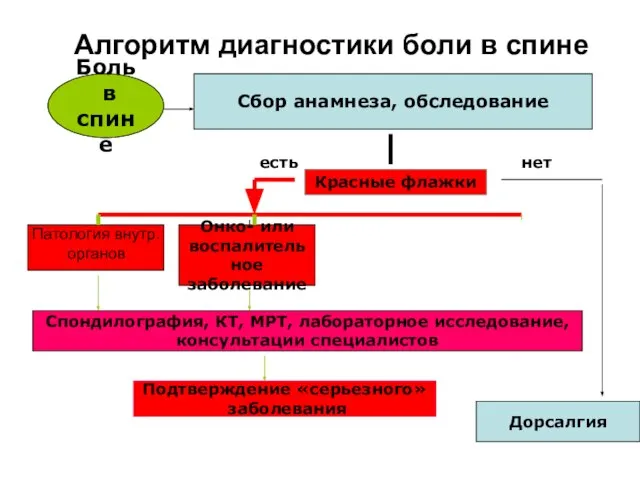 Боль в спине Сбор анамнеза, обследование Красные флажки Дорсалгия нет есть Онко-