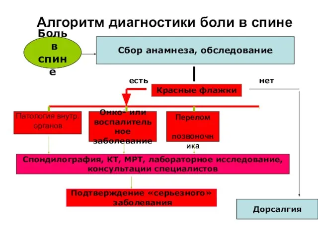 Боль в спине Сбор анамнеза, обследование Красные флажки Дорсалгия нет есть Онко-