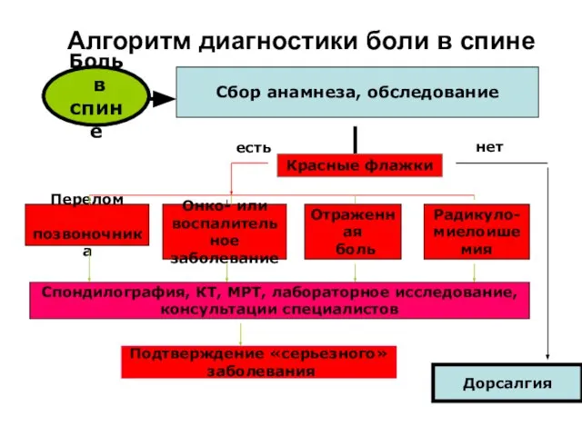 Боль в спине Сбор анамнеза, обследование Красные флажки Дорсалгия нет есть Перелом