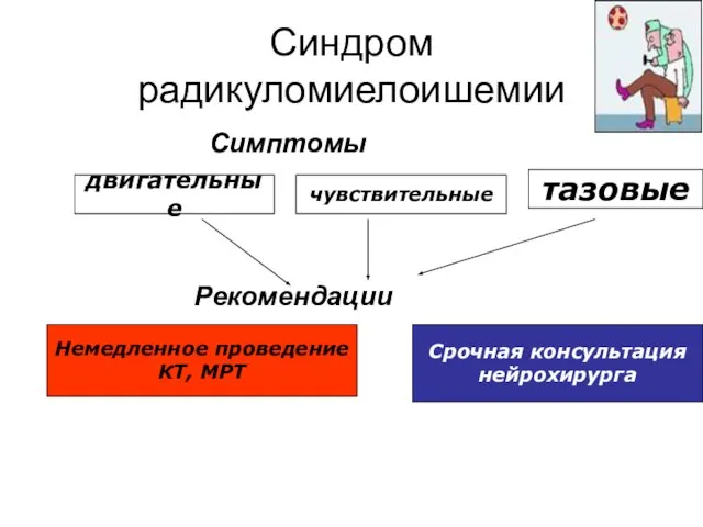 Синдром радикуломиелоишемии Симптомы Рекомендации двигательные чувствительные тазовые Немедленное проведение КТ, МРТ Срочная консультация нейрохирурга