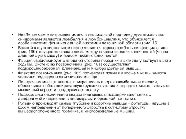 Наиболее часто встречающимися в клинической практике дорсалгическими синдромами являются люмбалгия и люмбоишиалгия,