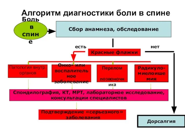 Боль в спине Сбор анамнеза, обследование Красные флажки Дорсалгия нет есть Онко-