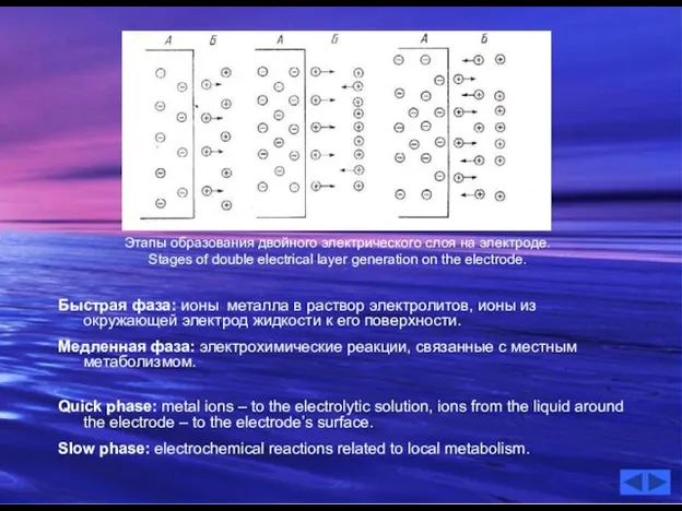 Быстрая фаза: ионы металла в раствор электролитов, ионы из окружающей электрод жидкости