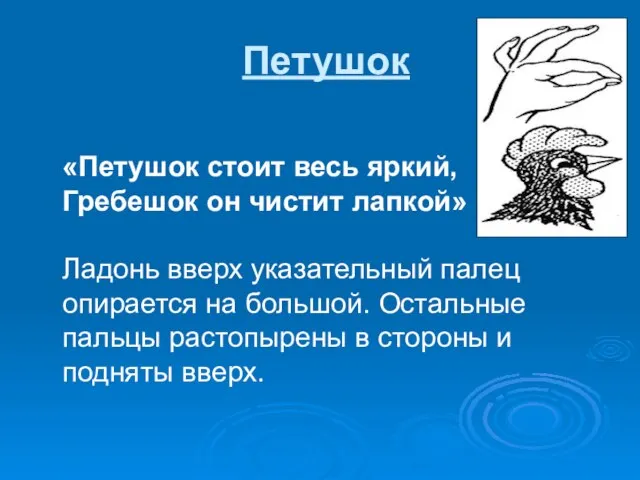 Петушок «Петушок стоит весь яркий, Гребешок он чистит лапкой» Ладонь вверх указательный