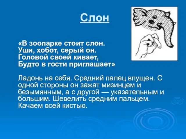 Слон «В зоопарке стоит слон. Уши, хобот, серый он. Головой своей кивает,