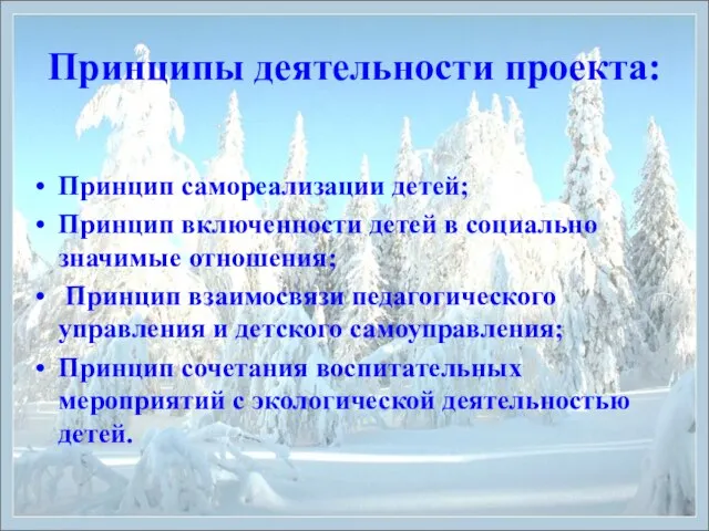 Принципы деятельности проекта: Принцип самореализации детей; Принцип включенности детей в социально значимые