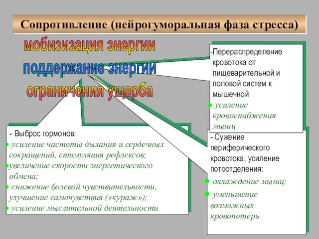 - Выброс гормонов: усиление частоты дыхания и сердечных сокращений, стимуляция рефлексов; увеличение