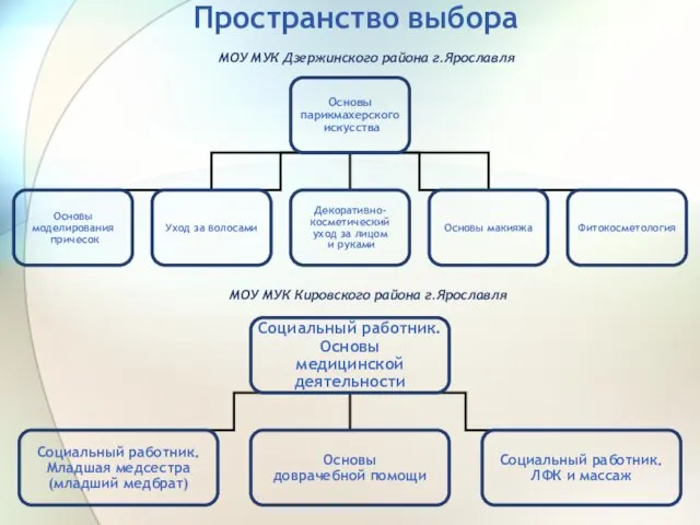 Пространство выбора МОУ МУК Дзержинского района г.Ярославля МОУ МУК Кировского района г.Ярославля