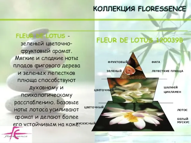 FLEUR DE LOTUS - зеленый цветочно-фруктовый аромат. Мягкие и сладкие ноты плодов