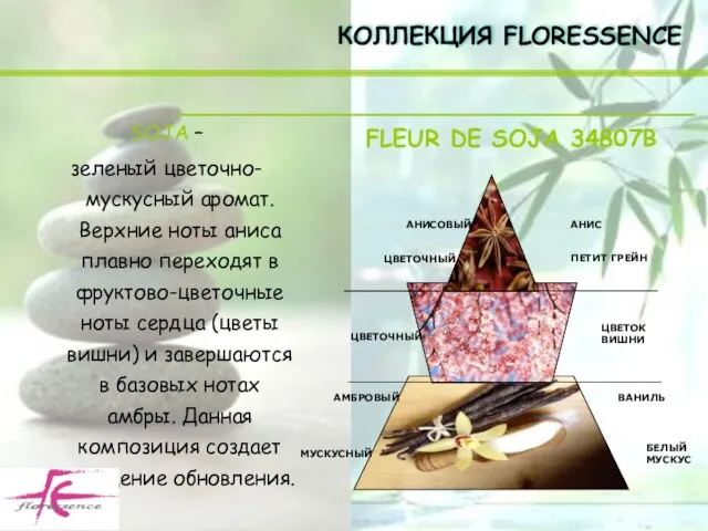 SOJA – зеленый цветочно-мускусный аромат. Верхние ноты аниса плавно переходят в фруктово-цветочные
