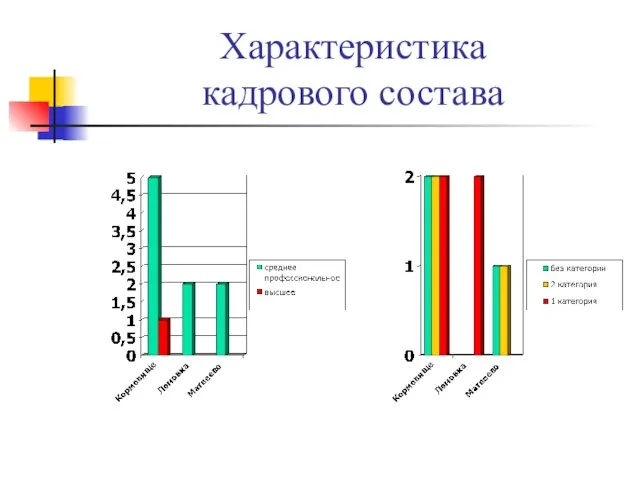 Характеристика кадрового состава