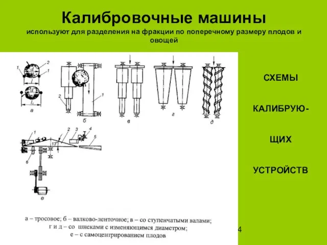 Калибровочные машины используют для разделения на фракции по поперечному размеру плодов и