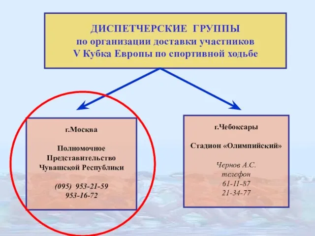 ДИСПЕТЧЕРСКИЕ ГРУППЫ по организации доставки участников V Кубка Европы по спортивной ходьбе