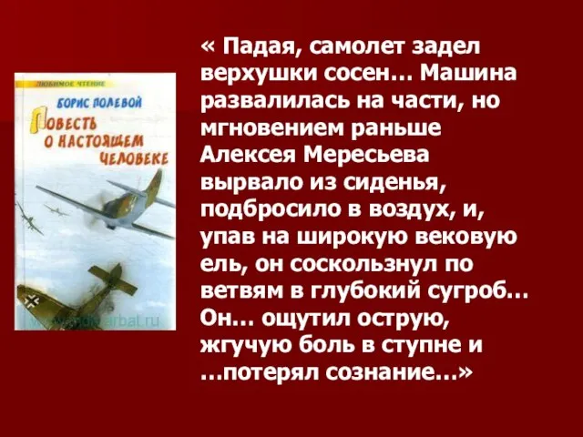 « Падая, самолет задел верхушки сосен… Машина развалилась на части, но мгновением