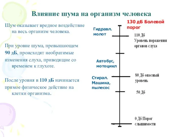 Влияние шума на организм человека Шум оказывает вредное воздействие на весь организм