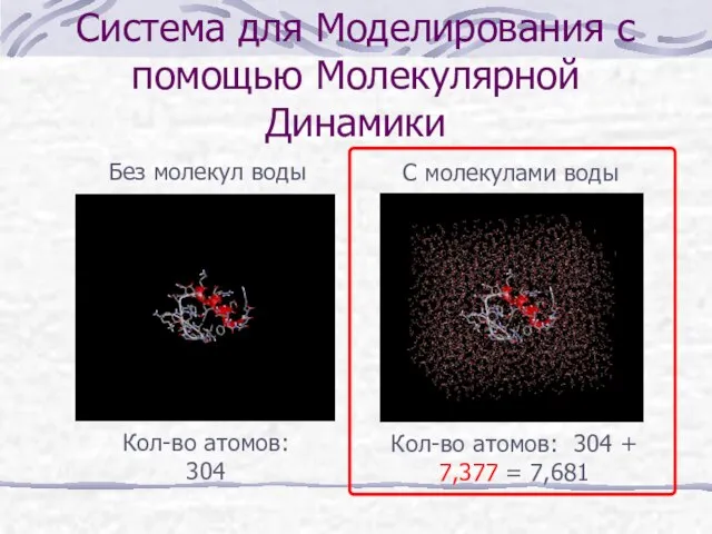 Система для Моделирования с помощью Молекулярной Динамики Без молекул воды С молекулами