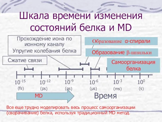 Шкала времени изменения состояний белка и MD Время Сжатие связи Прохождение иона