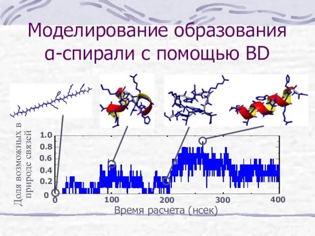 Моделирование образования α-спирали с помощью BD Доля возможных в природе связей Время