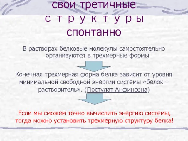 Белки могут сворачиваться в свои третичные структуры спонтанно В растворах белковые молекулы