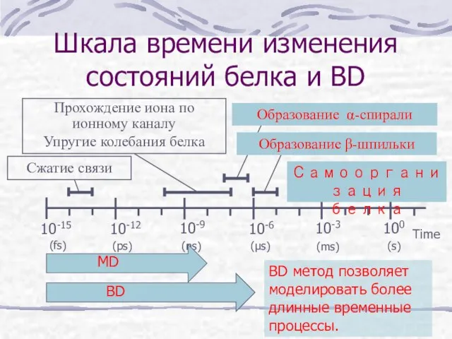 Шкала времени изменения состояний белка и BD Time BD метод позволяет моделировать