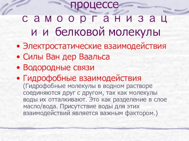 Силы, участвующие в процессе самоорганизации белковой молекулы Электростатические взаимодействия Силы Ван дер