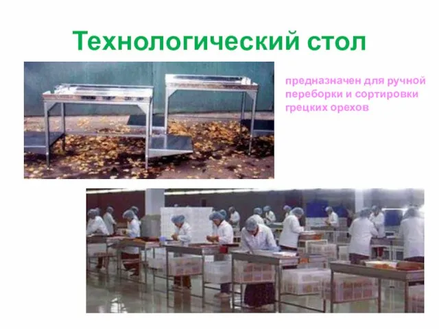 Технологический стол предназначен для ручной переборки и сортировки грецких орехов
