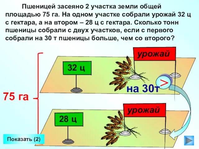 Пшеницей засеяно 2 участка земли общей площадью 75 га. На одном участке