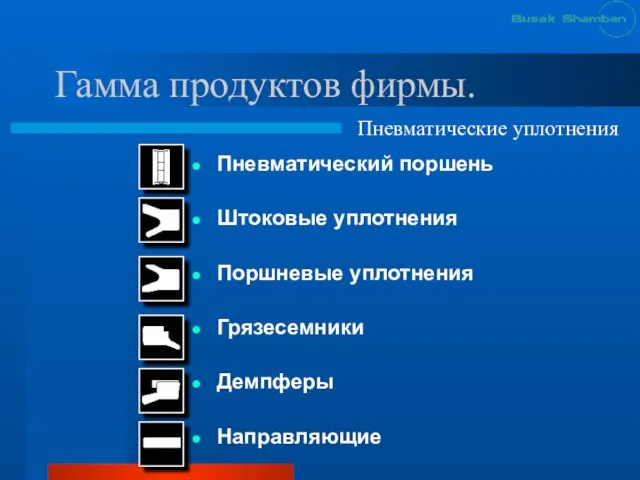 Гамма продуктов фирмы. Пневматический поршень Штоковые уплотнения Поршневые уплотнения Грязесемники Демпферы Направляющие Пневматические уплотнения