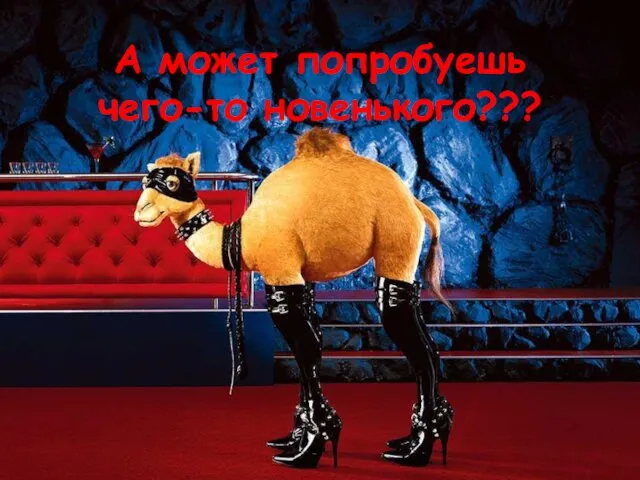 А может попробуешь чего-то новенького???