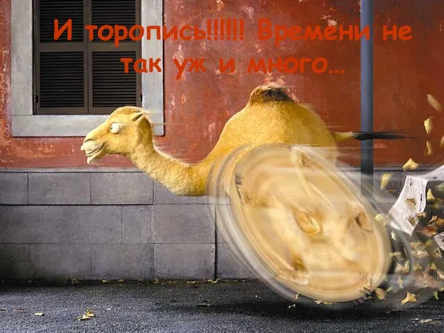 И торопись!!!!!! Времени не так уж и много…