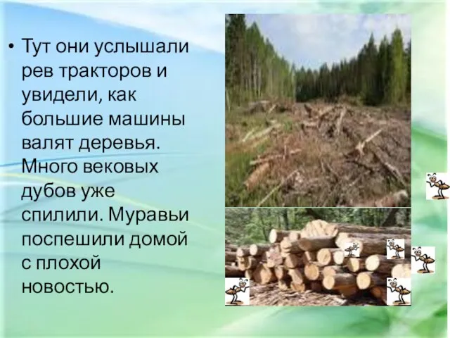 Тут они услышали рев тракторов и увидели, как большие машины валят деревья.