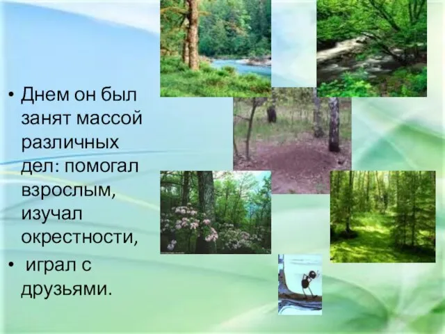 Днем он был занят массой различных дел: помогал взрослым, изучал окрестности, играл с друзьями.