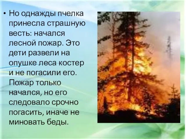 Но однажды пчелка принесла страшную весть: начался лесной пожар. Это дети развели