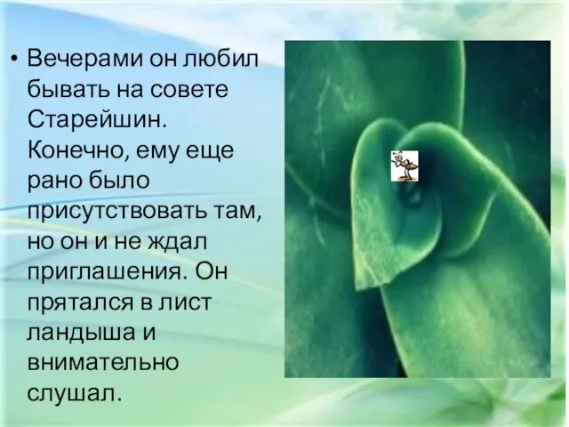 Вечерами он любил бывать на совете Старейшин. Конечно, ему еще рано было