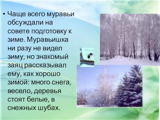 Чаще всего муравьи обсуждали на совете подготовку к зиме. Муравьишка ни разу