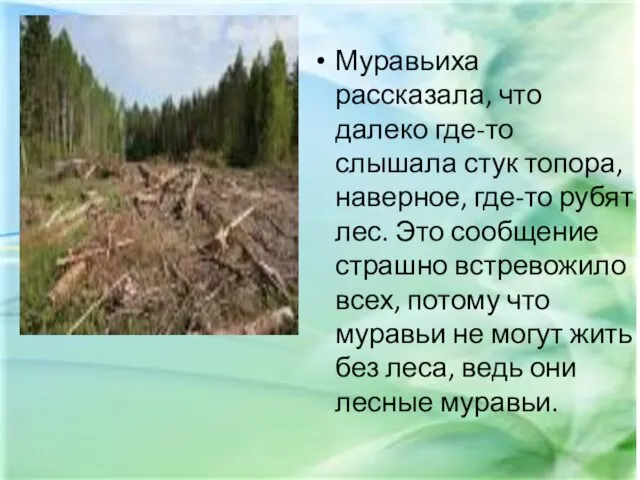 Муравьиха рассказала, что далеко где-то слышала стук топора, наверное, где-то рубят лес.