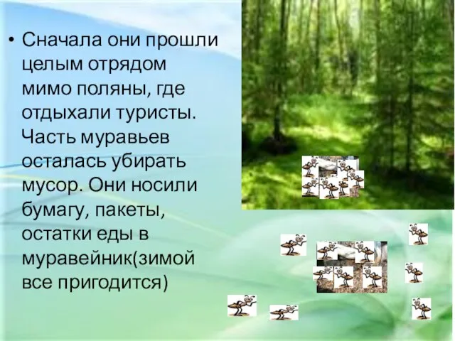 Сначала они прошли целым отрядом мимо поляны, где отдыхали туристы. Часть муравьев