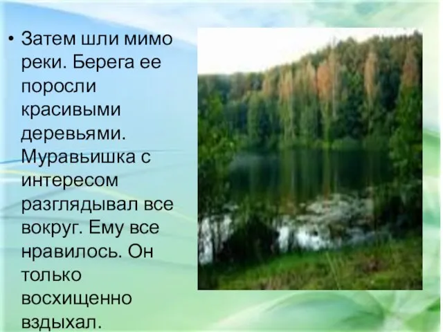 Затем шли мимо реки. Берега ее поросли красивыми деревьями. Муравьишка с интересом