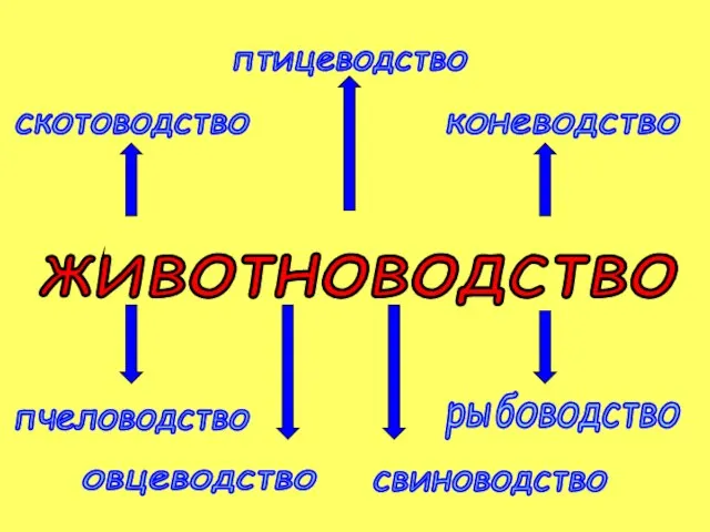 животноводство птицеводство пчеловодство рыбоводство скотоводство коневодство овцеводство свиноводство