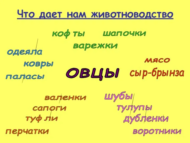 Что дает нам животноводство овцы мясо сыр-брынза шубы тулупы дубленки воротники валенки