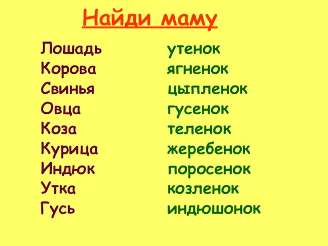 Лошадь Корова Свинья Овца Коза Курица Индюк Утка Гусь утенок ягненок цыпленок