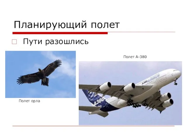 Планирующий полет Пути разошлись Полет орла Полет А-380