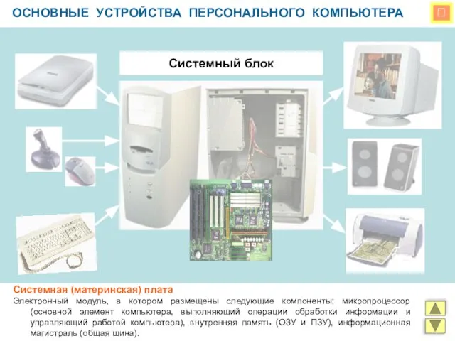  ОСНОВНЫЕ УСТРОЙСТВА ПЕРСОНАЛЬНОГО КОМПЬЮТЕРА Системный блок Системная (материнская) плата Электронный модуль,