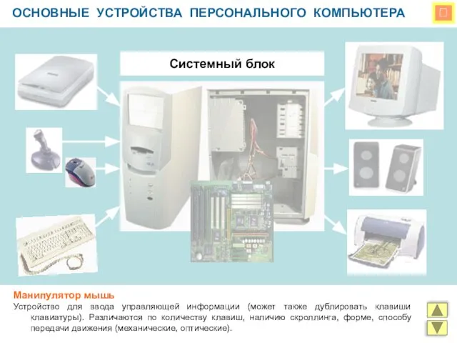  ОСНОВНЫЕ УСТРОЙСТВА ПЕРСОНАЛЬНОГО КОМПЬЮТЕРА Системный блок Манипулятор мышь Устройство для ввода