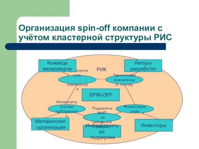 Организация spin-off компании с учётом кластерной структуры РИС