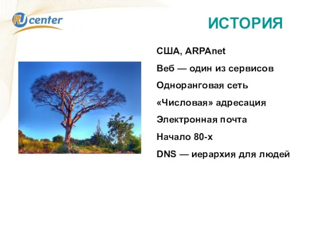 ИСТОРИЯ США, ARPAnet Веб — один из сервисов Одноранговая сеть «Числовая» адресация